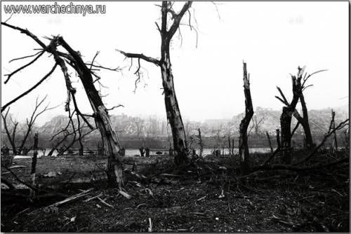 Grozny Landscape_. March 1995.